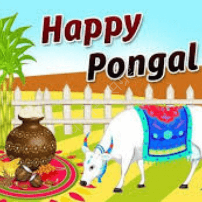 Pongal.png